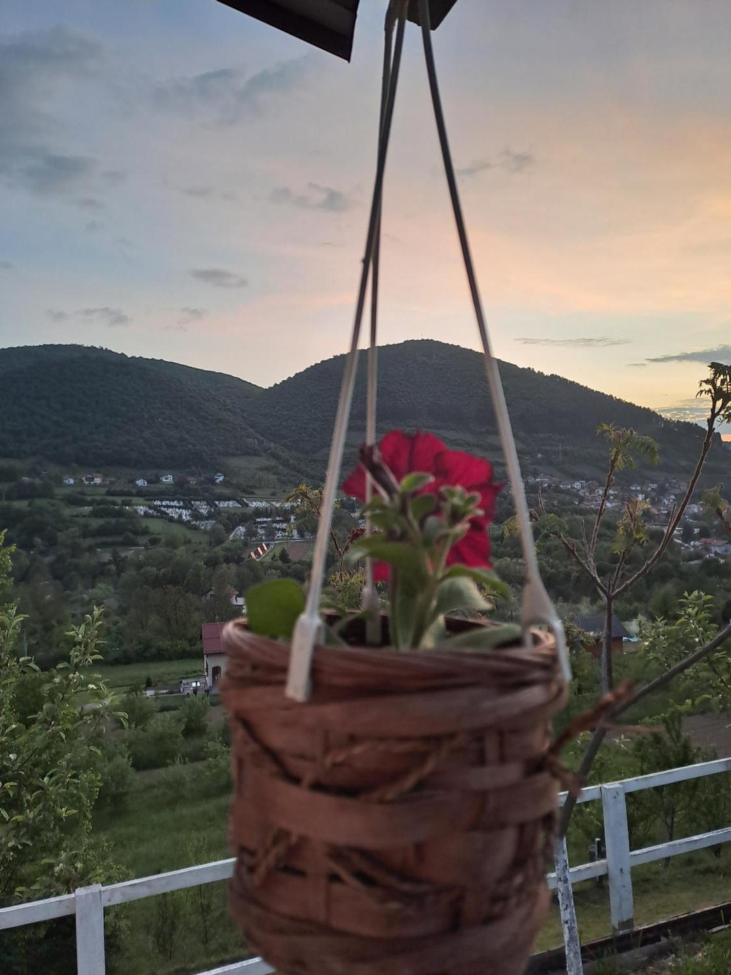 Natural House Вісоко Номер фото